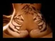 Фильм тигр
